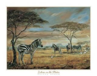 Zebras On The Plains | Obraz na stenu