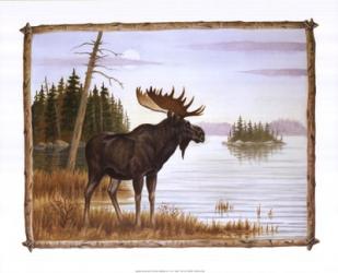 Mighty Moose | Obraz na stenu