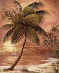 Island Palm III | Obraz na stenu