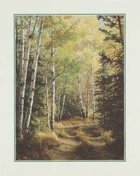 Pat Durgin - Woodland Path Size 16x20 | Obraz na stenu
