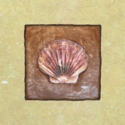 Sea Shell | Obraz na stenu