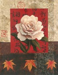 White Chinese Rose | Obraz na stenu