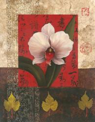White Chinese Orchid | Obraz na stenu