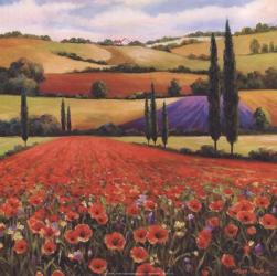 Fields of Poppies II | Obraz na stenu