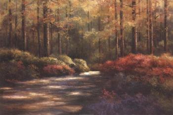 Autumn Trail | Obraz na stenu