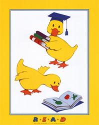 Ducks - Reading | Obraz na stenu