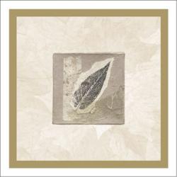 Diane Kline - Elm Leaf Size 10x10 | Obraz na stenu