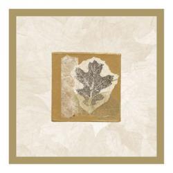 Diane Kline - Oak Leaf Size 10x10 | Obraz na stenu