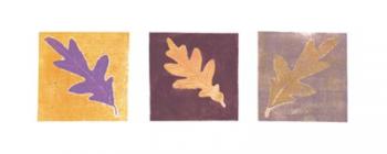Leaf Impressions/Oak | Obraz na stenu