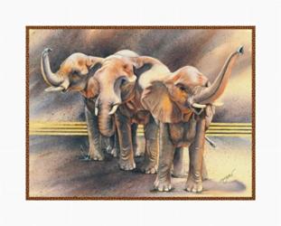 Family of Elephants | Obraz na stenu