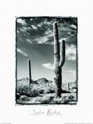 Saguaro Organ Pipe | Obraz na stenu