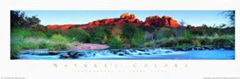 Nature's Colors-Red Rock Crossing, Arizona | Obraz na stenu