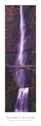 Nature's Colors - Waterfall | Obraz na stenu