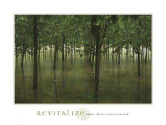 Revitalize - Forest | Obraz na stenu