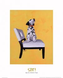 Riley The Dalmatian Puppy | Obraz na stenu