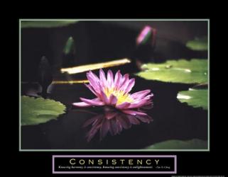 Consistency - Pond Flower | Obraz na stenu