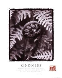 Kindness - Fiddleheads | Obraz na stenu