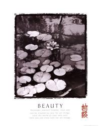 Beauty: Lilypads | Obraz na stenu