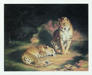 Pair Of Leopards | Obraz na stenu