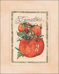 Vintage Tomatoes | Obraz na stenu