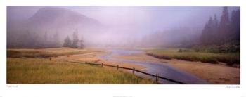 Sue Drinker - Tidal Mist Size 15x38 | Obraz na stenu