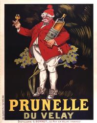 Prunelle Du Velay | Obraz na stenu