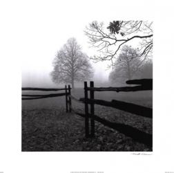 Fence in the Mist | Obraz na stenu