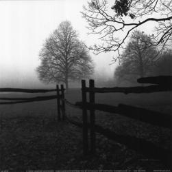 Fence in the Mist | Obraz na stenu