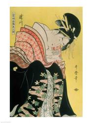 Takigawa from the Tea-House, Ogi | Obraz na stenu