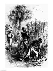 Slaves Working on a Plantation | Obraz na stenu