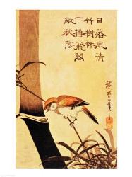 Bird and Bamboo | Obraz na stenu