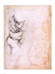 Study of torso and buttock | Obraz na stenu
