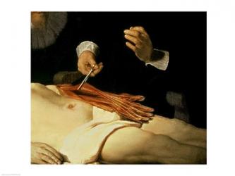 The Anatomy Lesson of Dr. Nicolaes Tulp, 1632 | Obraz na stenu
