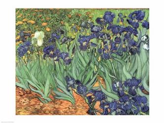 Irises, 1889 | Obraz na stenu