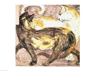 Two Cats | Obraz na stenu