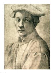 Portrait of Andrea Quaratesi, c.1532 | Obraz na stenu