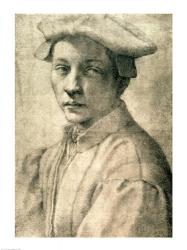 Portrait of Andrea Quaratesi, c.1532 | Obraz na stenu
