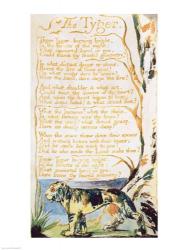 The Tyger, from Songs of Innocence | Obraz na stenu