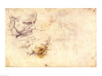 W.60 Sketch of a male head, in two positions | Obraz na stenu