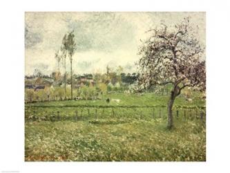 Meadow at Eragny, 1885 | Obraz na stenu