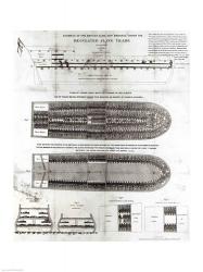 Stowage of the British Slave Ship 'Brookes' Under the Regulated Slave Trade Act of 1788 | Obraz na stenu