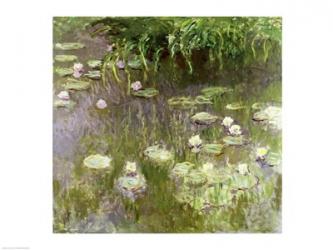 Waterlilies at Midday, 1918 | Obraz na stenu