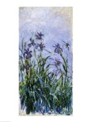 Purple Irises, 1914-17 | Obraz na stenu