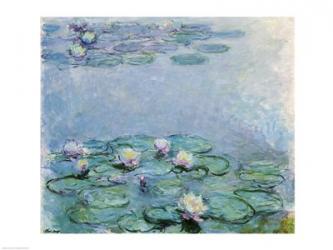 Water Lilies | Obraz na stenu