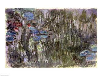 Waterlilies with Reflections of Willows, c.1920 | Obraz na stenu