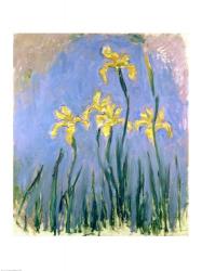 The Yellow Irises, c.1918-25 | Obraz na stenu