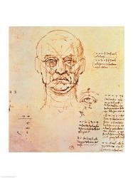 Studies of the Proportions of the Face and Eye | Obraz na stenu