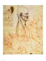 Torso of a Man in Profile, the Head Squared for Proportion | Obraz na stenu