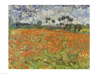 Field of Poppies | Obraz na stenu