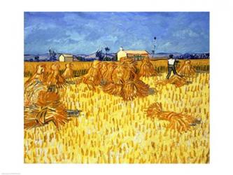 Harvest in Provence | Obraz na stenu